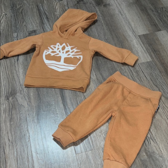 Timberland Other - Kids Tan Hoodie and Jogger Set Sz 12 m